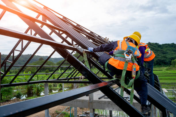 Best Gutter Installation and Roofing  in Ampere North, NJ