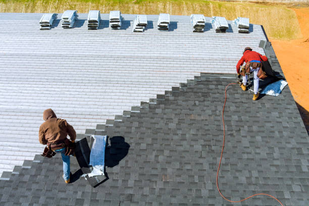 Best Roof Repair Services  in Ampere North, NJ