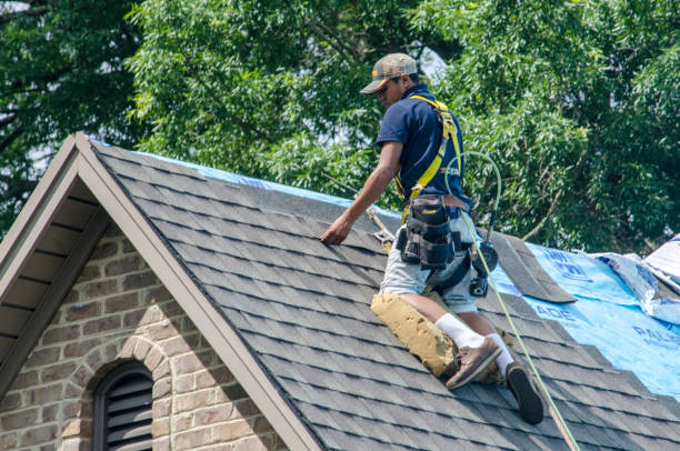 Best Local Roofing Companies  in Ampere North, NJ